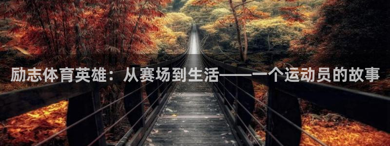 悟空体育app