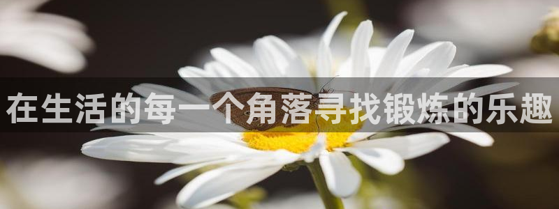 悟空体育网页版官网