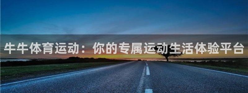 悟空体育app