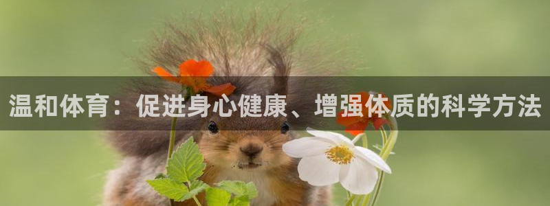 悟空体育平台