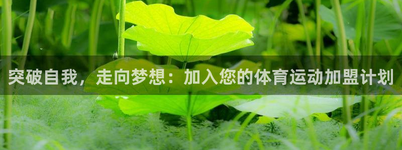 悟空体育真的假的