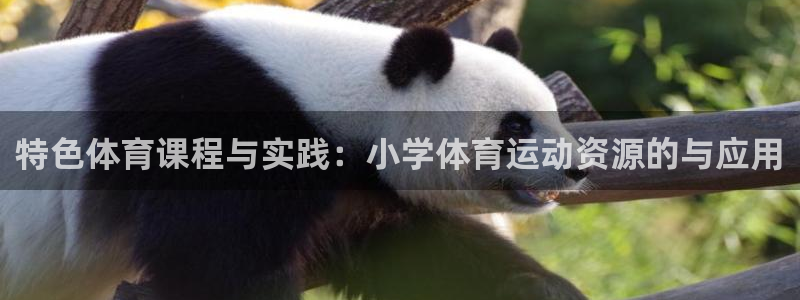 悟空体育莆田鞋怎么样