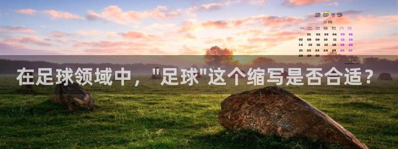 悟空体育官网入口：在足球领域中，\