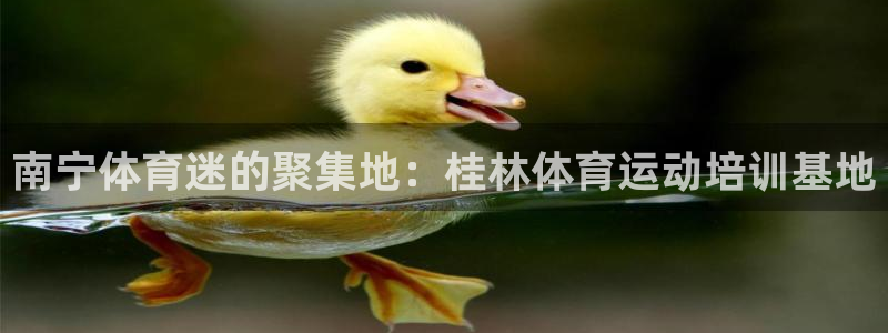 悟空体育官网入口