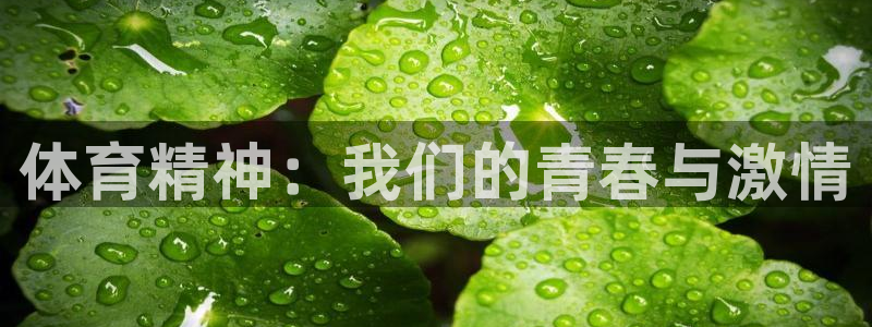 上海悟空体育：体育精神：我们的青春与激情